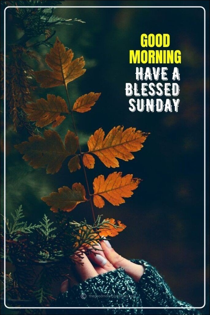 quote-happy-sunday-images quote-happy-sunday-images
