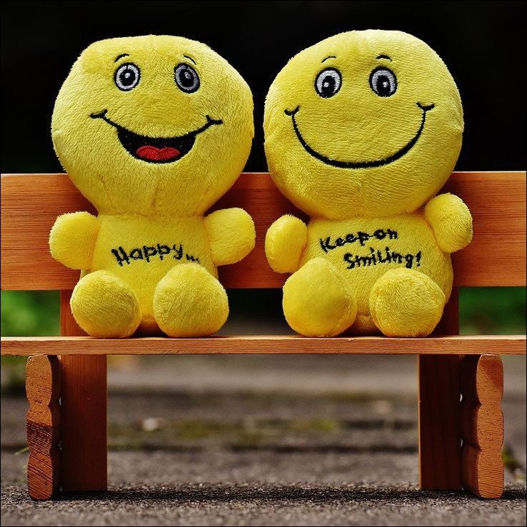 smile-dp smile-dp