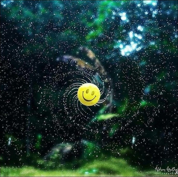 smile-dp smile-dp