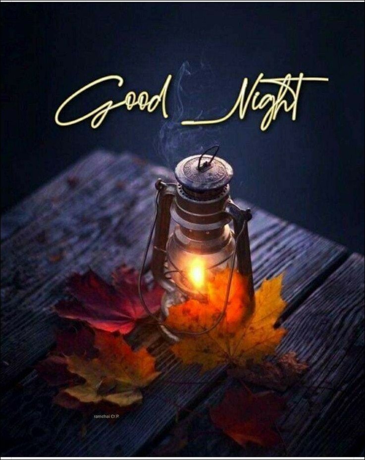 special-good-night-images